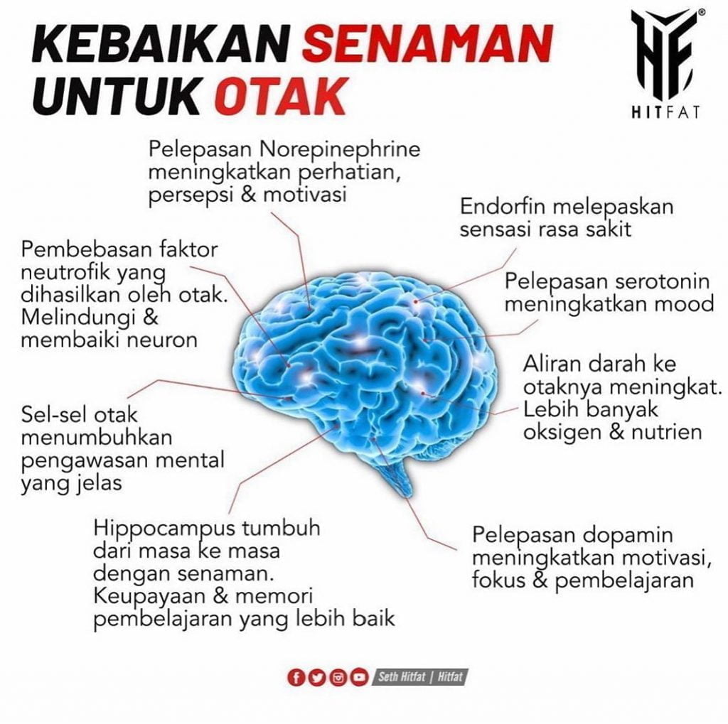 KEBAIKAN SENAMAN UNTUK OTAK.