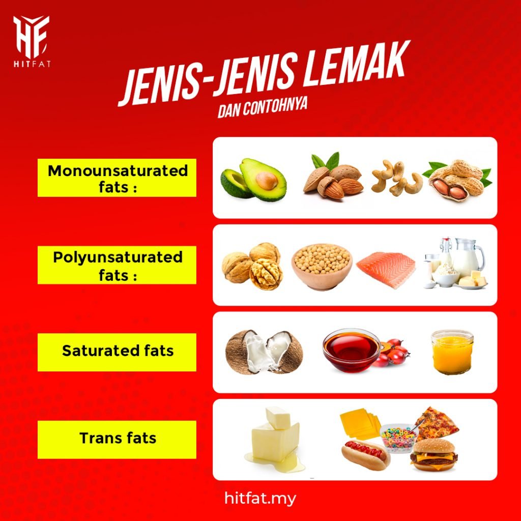 JENIS LEMAK & CONTOHNYA