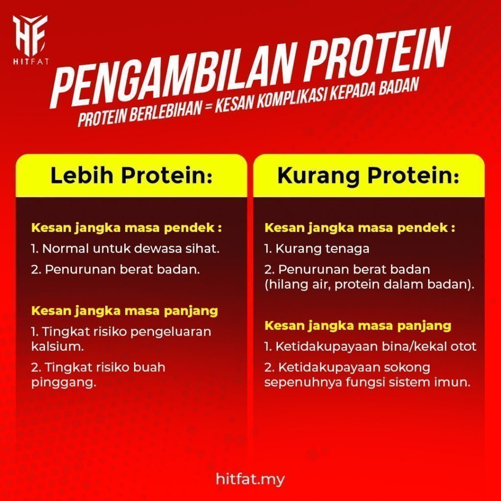 PENGAMBILAN PROTEIN