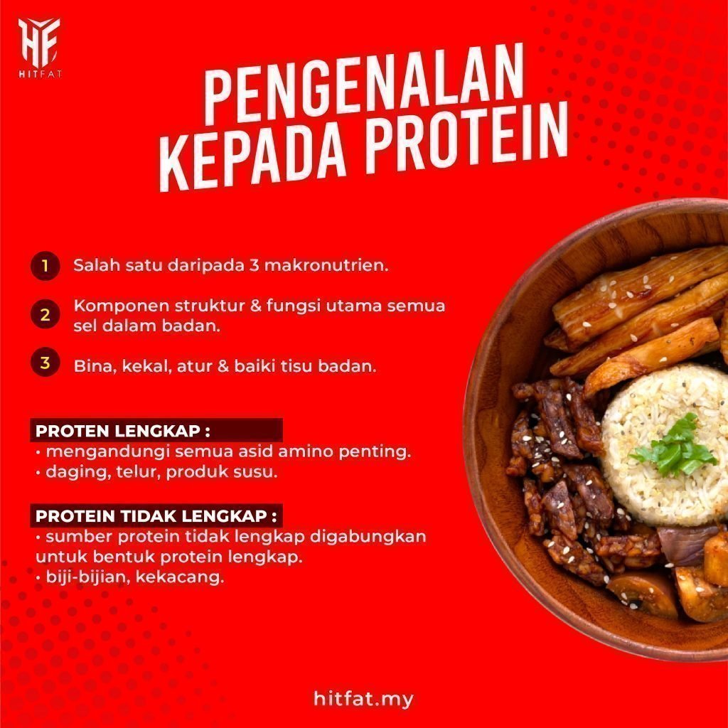 Pengenalan Kepada Protein